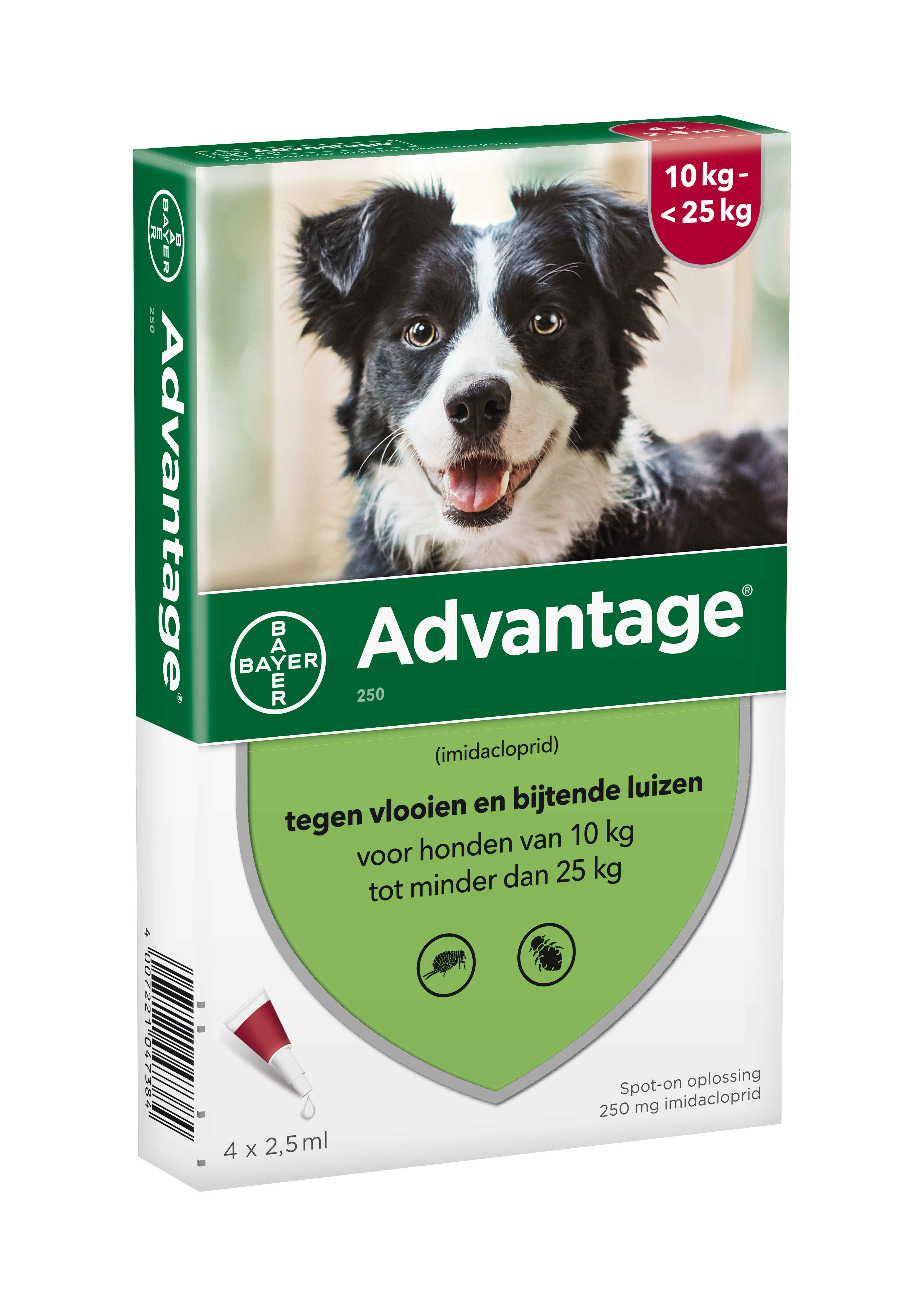 uitlaat energie Sociologie Bayer Advantage vlooiendruppels spot-on voor de hond 250 mg