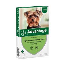 Advantage vlooiendruppels voor de hond 40 mg