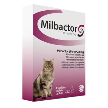 Milbactor kat 24 tabletten